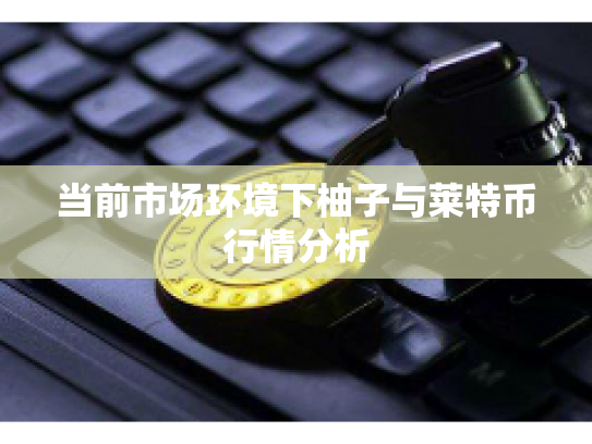 当前市场环境下柚子与莱特币行情分析