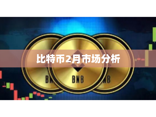 比特币2月市场分析