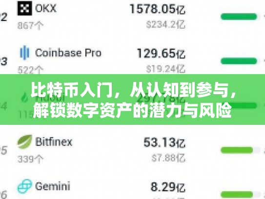 比特币入门，从认知到参与，解锁数字资产的潜力与风险