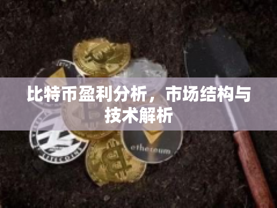 比特币盈利分析，市场结构与技术解析
