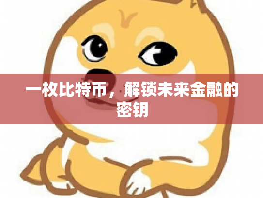 一枚比特币，解锁未来金融的密钥