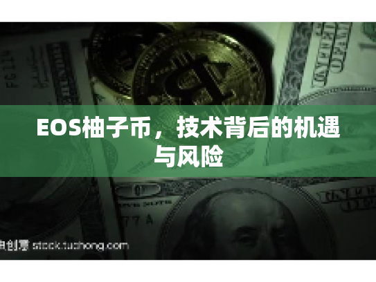 EOS柚子币，技术背后的机遇与风险