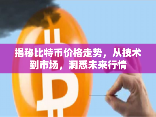 揭秘比特币价格走势，从技术到市场，洞悉未来行情