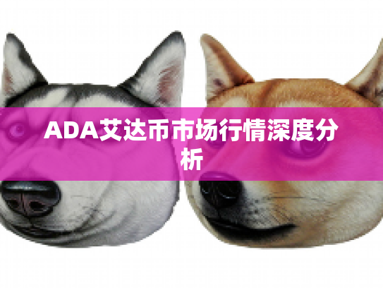 ADA艾达币市场行情深度分析