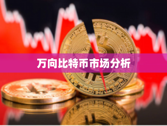 万向比特币市场分析