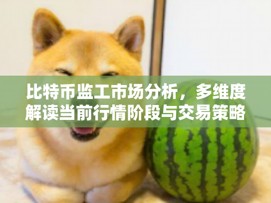 比特币监工市场分析，多维度解读当前行情阶段与交易策略