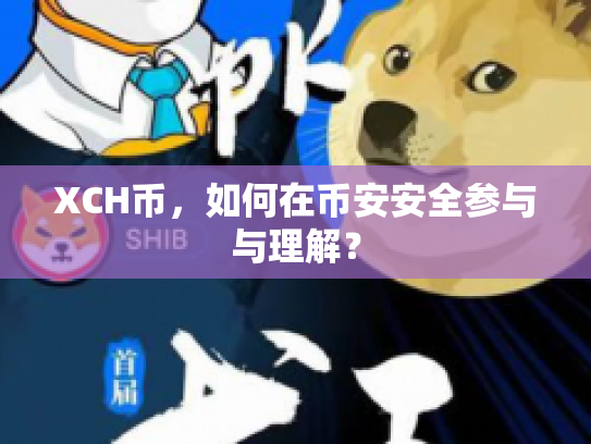 XCH币，如何在币安安全参与与理解？