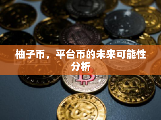 柚子币，平台币的未来可能性分析