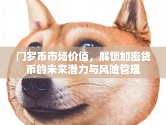 门罗币市场价值，解锁加密货币的未来潜力与风险管理