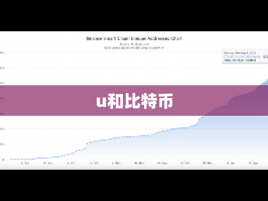 u和比特币
