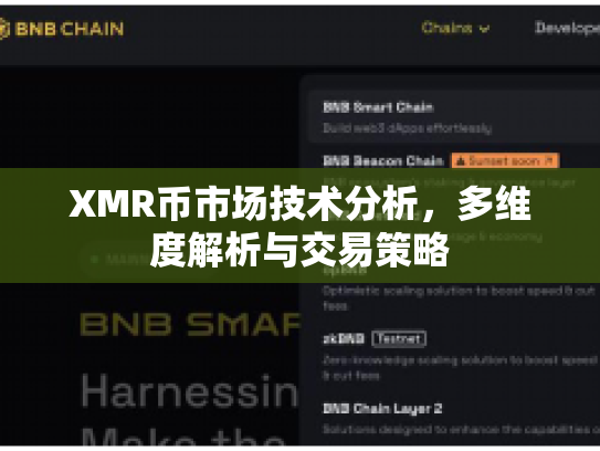 XMR币市场技术分析，多维度解析与交易策略