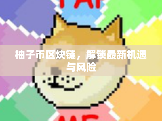 柚子币区块链，解锁最新机遇与风险