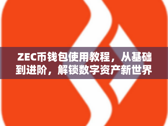 ZEC币钱包使用教程，从基础到进阶，解锁数字资产新世界