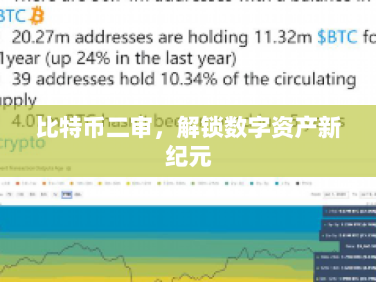 比特币二审，解锁数字资产新纪元