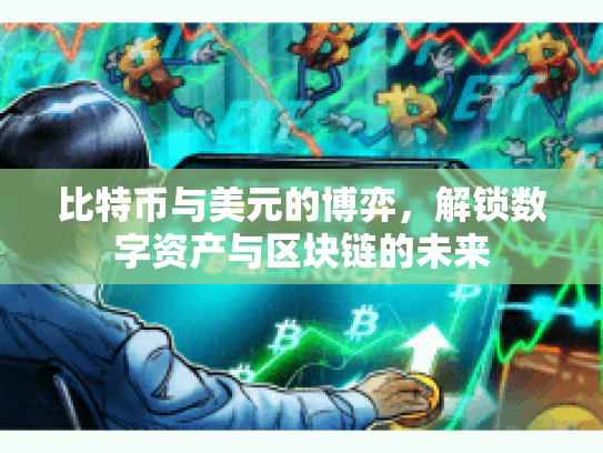 比特币与美元的博弈，解锁数字资产与区块链的未来