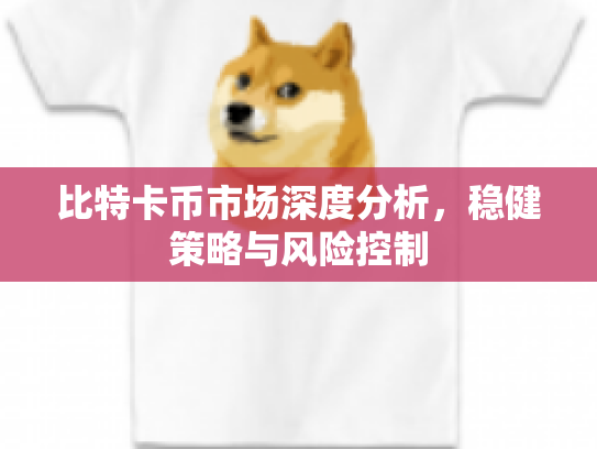 比特卡币市场深度分析，稳健策略与风险控制