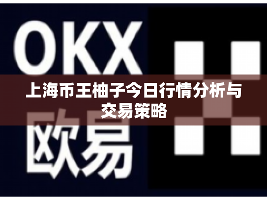 上海币王柚子今日行情分析与交易策略