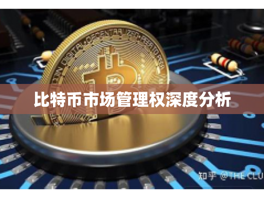 比特币市场管理权深度分析