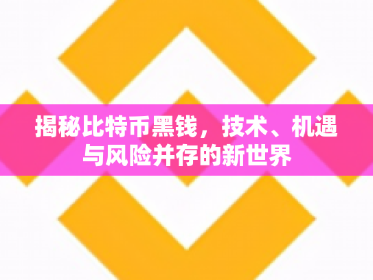 揭秘比特币黑钱，技术、机遇与风险并存的新世界