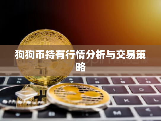 狗狗币持有行情分析与交易策略