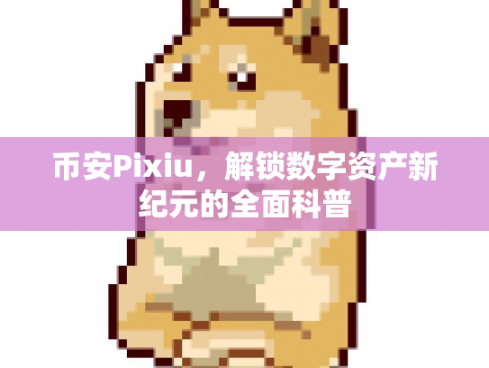 币安Pixiu，解锁数字资产新纪元的全面科普