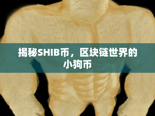 揭秘SHIB币，区块链世界的小狗币