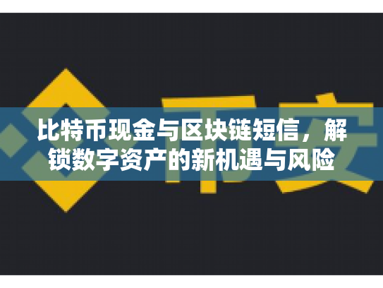 比特币现金与区块链短信，解锁数字资产的新机遇与风险