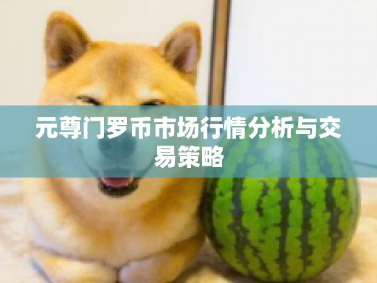 元尊门罗币市场行情分析与交易策略