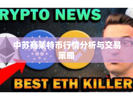 中苏商莱特币行情分析与交易策略