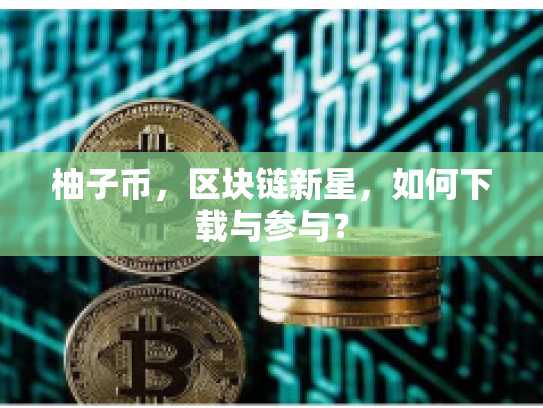柚子币，区块链新星，如何下载与参与？
