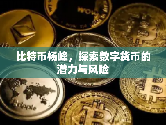比特币杨峰，探索数字货币的潜力与风险