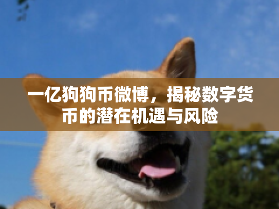 一亿狗狗币微博，揭秘数字货币的潜在机遇与风险