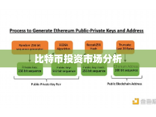 比特币投资市场分析