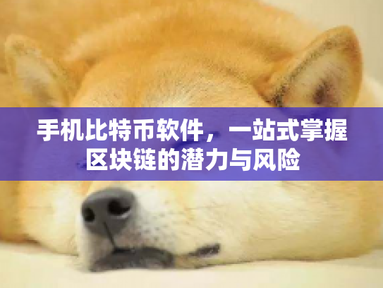 手机比特币软件，一站式掌握区块链的潜力与风险