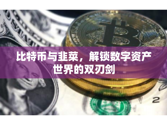 比特币与韭菜，解锁数字资产世界的双刃剑