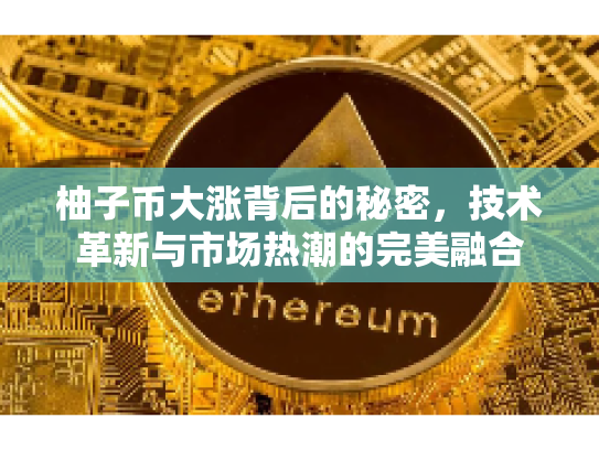 柚子币大涨背后的秘密，技术革新与市场热潮的完美融合