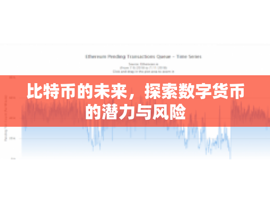 比特币的未来，探索数字货币的潜力与风险