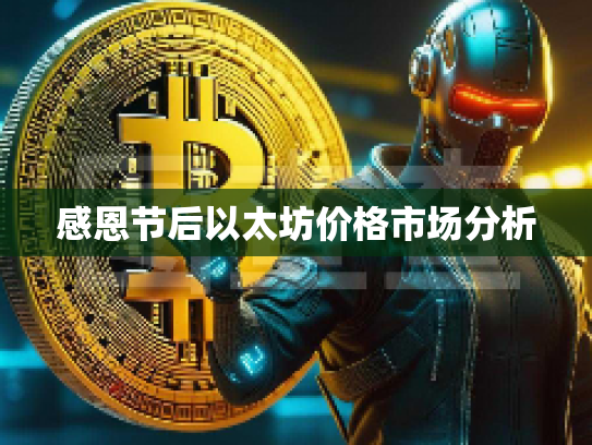 感恩节后以太坊价格市场分析