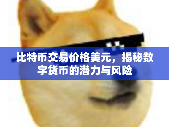 比特币交易价格美元，揭秘数字货币的潜力与风险