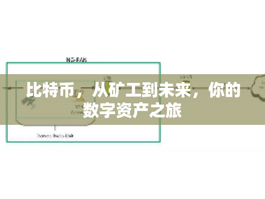 比特币，从矿工到未来，你的数字资产之旅