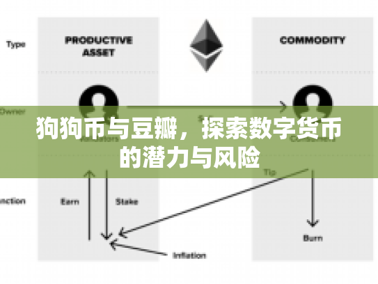 狗狗币与豆瓣，探索数字货币的潜力与风险