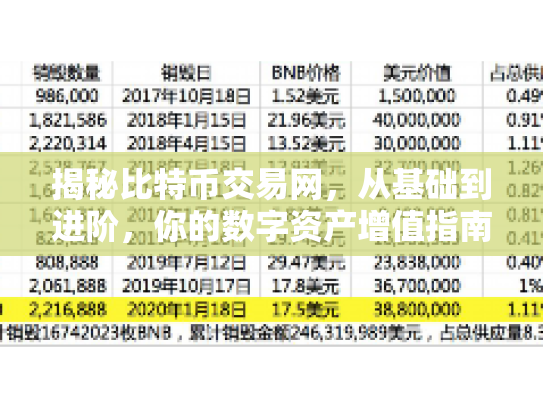 揭秘比特币交易网，从基础到进阶，你的数字资产增值指南