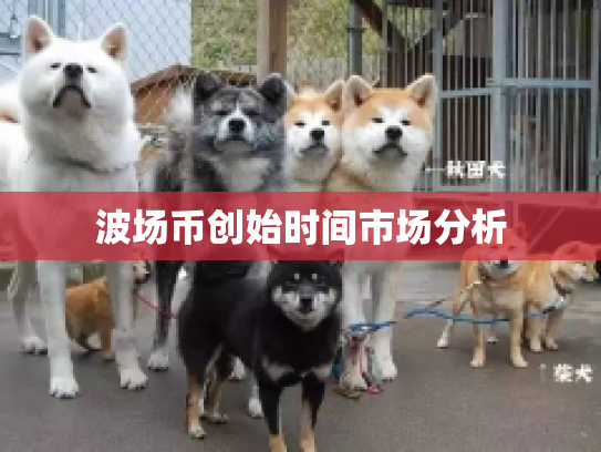 波场币创始时间市场分析