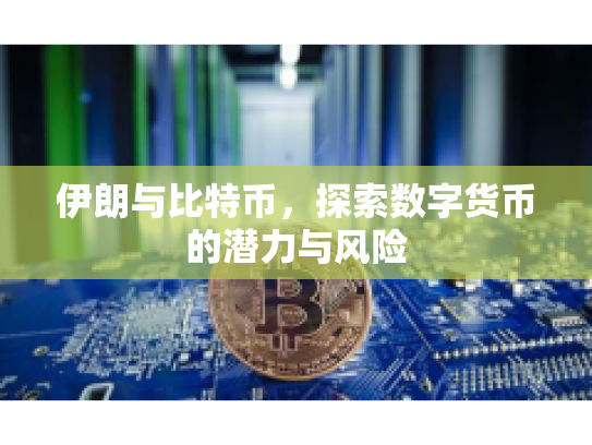 伊朗与比特币，探索数字货币的潜力与风险