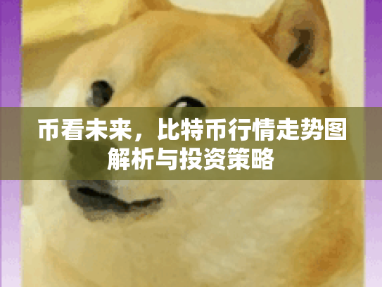 币看未来，比特币行情走势图解析与投资策略