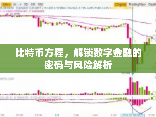 比特币方程，解锁数字金融的密码与风险解析