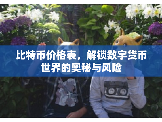 比特币价格表，解锁数字货币世界的奥秘与风险