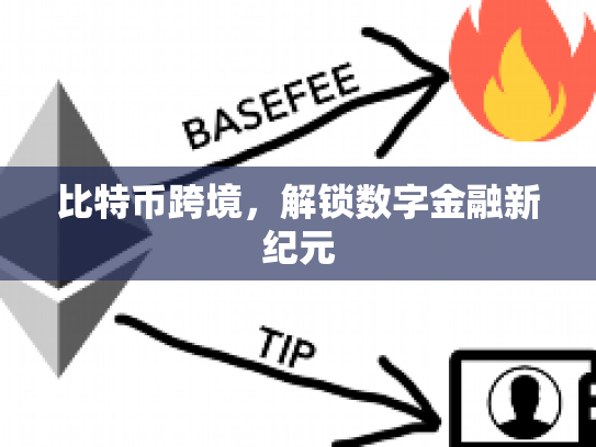 比特币跨境，解锁数字金融新纪元