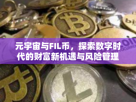 元宇宙与FIL币，探索数字时代的财富新机遇与风险管理