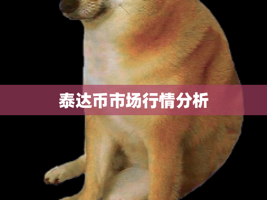 泰达币市场行情分析